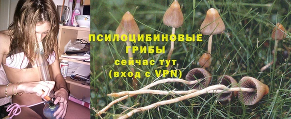 метадон Бородино