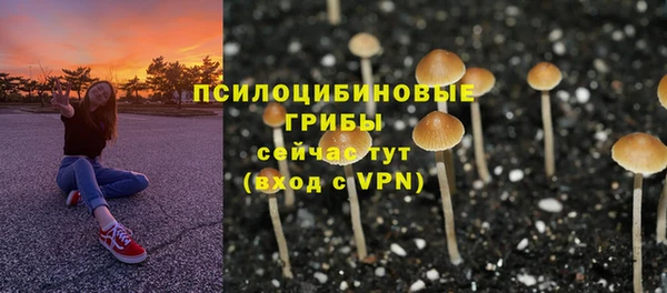 гидропоника Богородицк