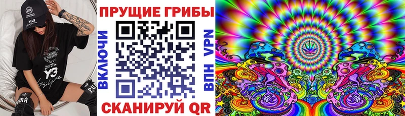 наркотики  Среднеуральск  Псилоцибиновые грибы Magic Shrooms 